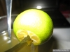 Bohol - Calamansi