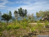 Siquijor - Princesa Bulakna (vue du bungalow)