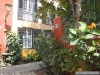085-Goree