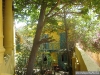 096-Goree