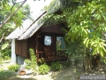 kohphyam9