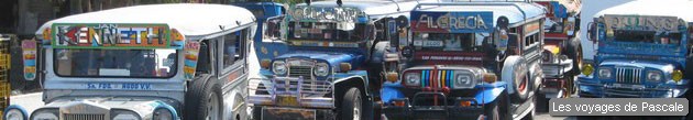 Collection de Jeepneysv