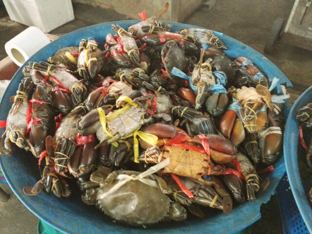 Panier de crabes