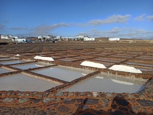 Salinas del carmen