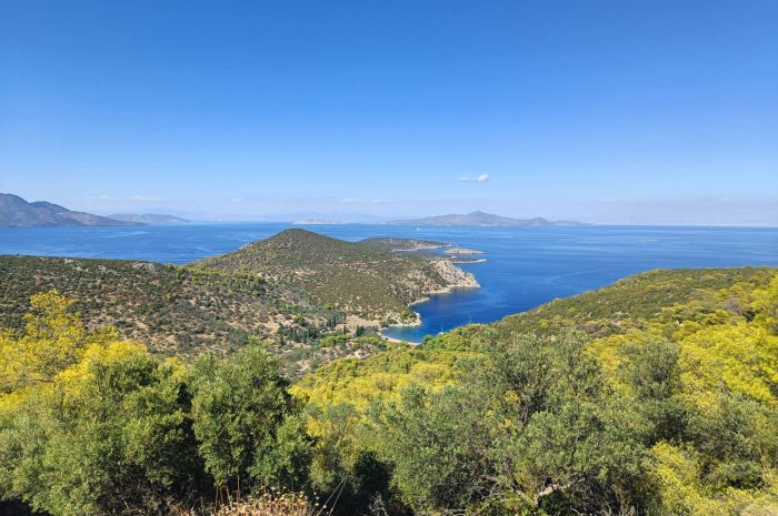 Poros